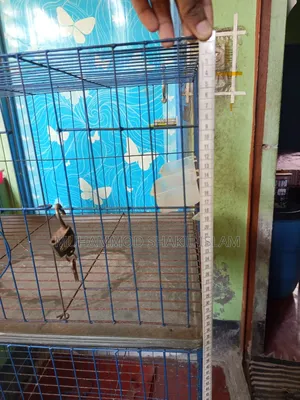 Cage for Pigeons, Chickens, Birds