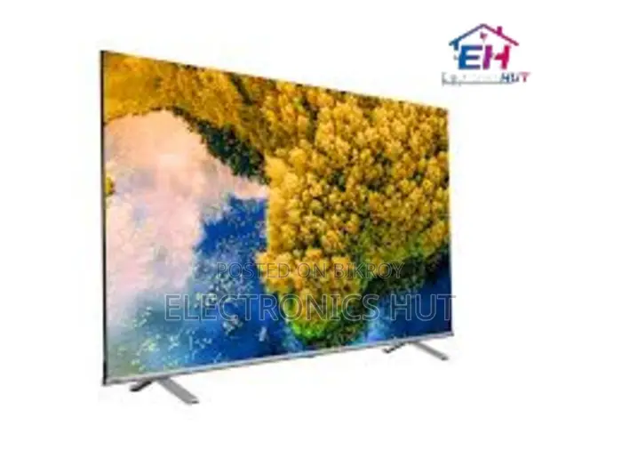 Daily Special ( Toshiba C350lp 55" Google Tv )