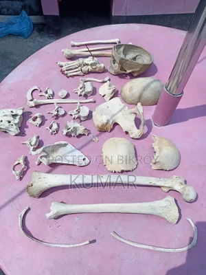 মেডিকেল হাফ সেট বোনস