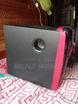 Speaker Audio