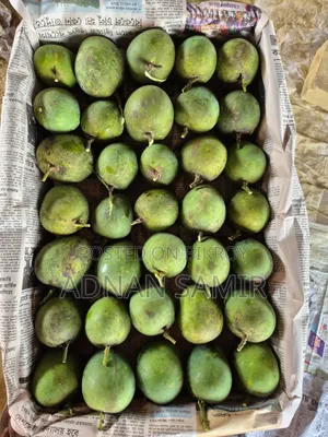 বিভিন্ন ধরনের আম