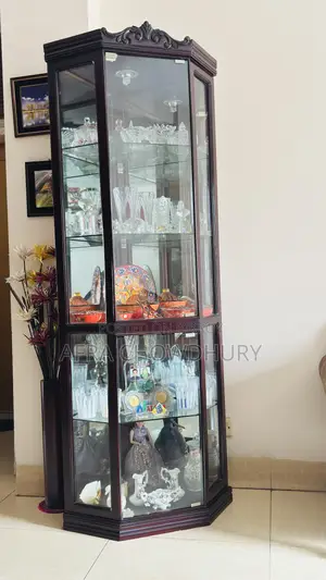 শো-পিস ছাড়া শোকেস
