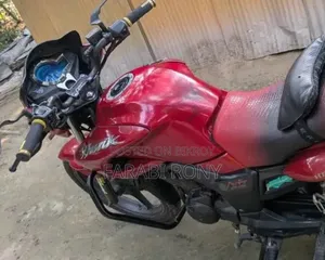 Hero Hunk 2010 Red
