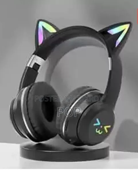 Head Phone