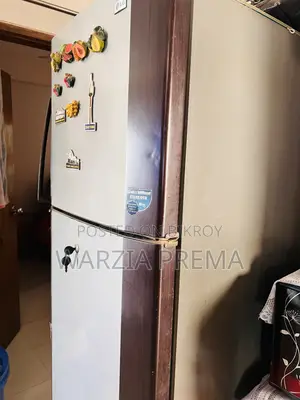 Lg Butterfly Fridge