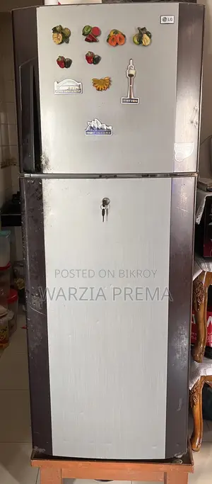 Lg Butterfly Fridge