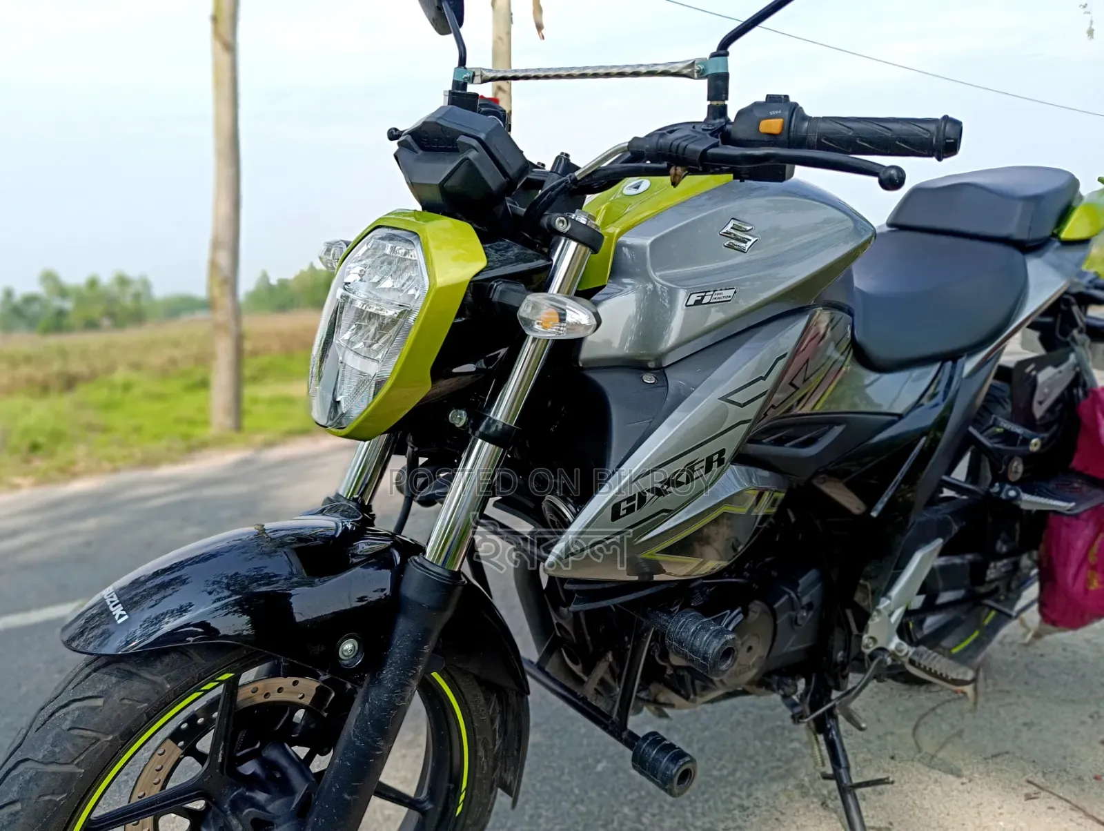 Suzuki 2025 Green