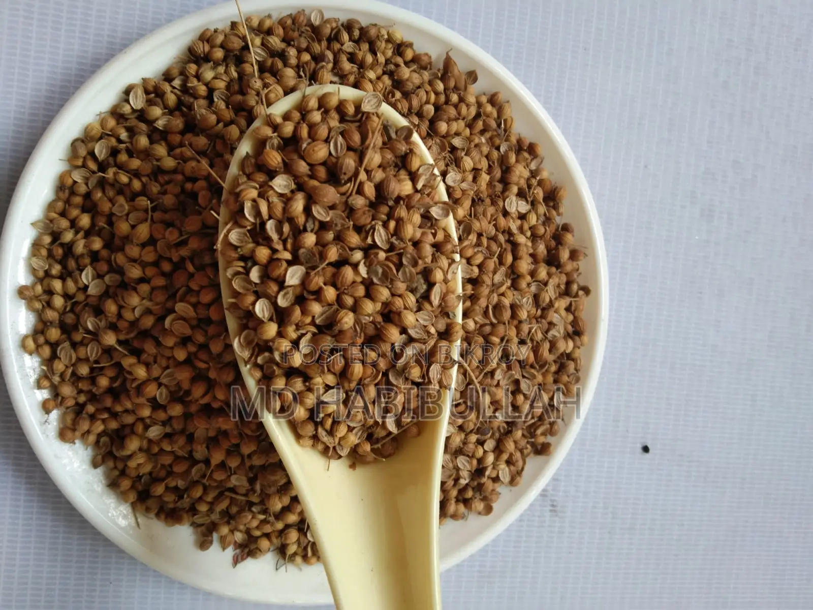 ধনিয়া (ধনিয়া বীজ) – রান্নার স্বাদ ও ঘ্রাণ বাড়াতে সেরা