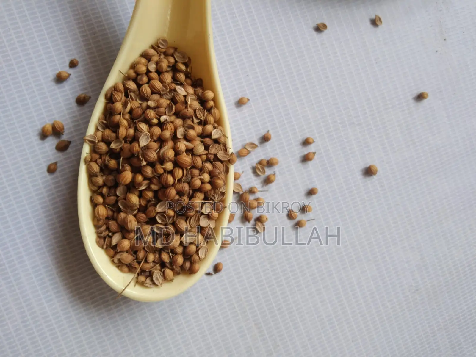 ধনিয়া (ধনিয়া বীজ) – রান্নার স্বাদ ও ঘ্রাণ বাড়াতে সেরা