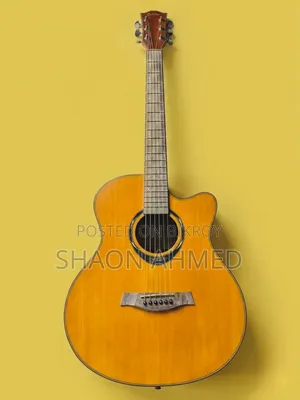 Deviser L720a Guitar