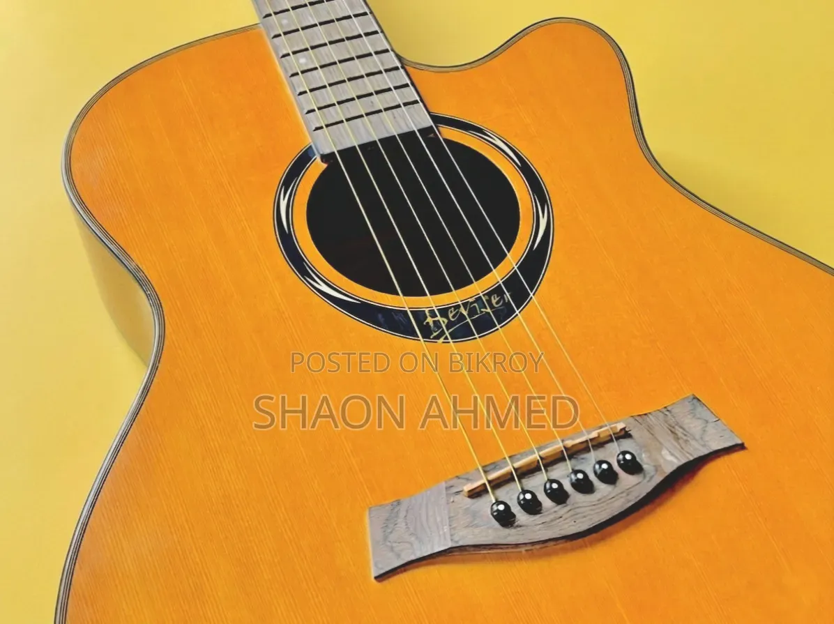 Deviser L720a Guitar