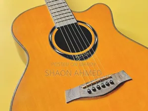 Deviser L720a Guitar
