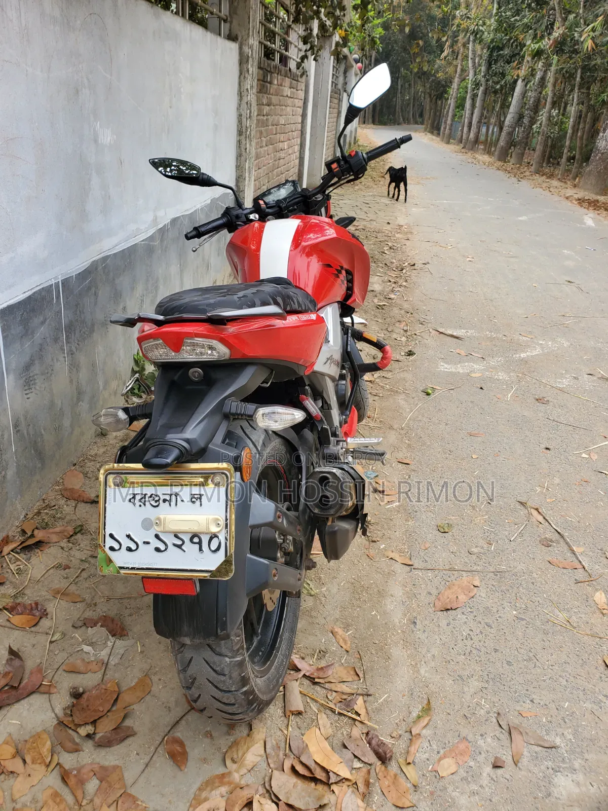 TVS Apache 160 4V 2019 Red