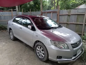 Toyota Axio 2011 Silver