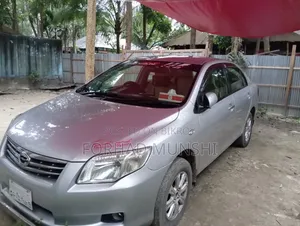 Toyota Axio 2011 Silver