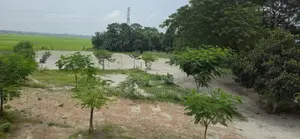 ৫ কাঠার প্লট ঢাকা মাওয়া রোড ব্লক এ