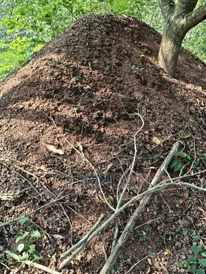 ইটের খোয়া বিক্রয় – সাশ্রয়ী দামে