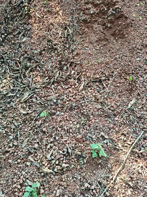 ইটের খোয়া বিক্রয় – সাশ্রয়ী দামে