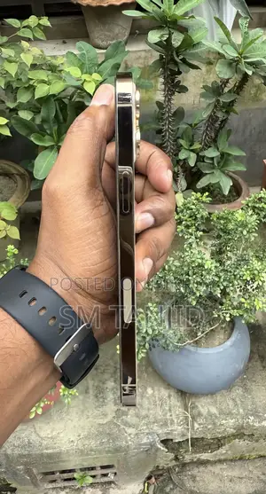Apple iPhone 12 Pro Max 512 GB Gold
