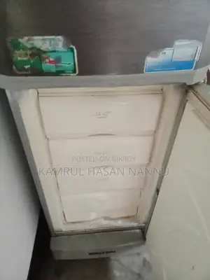 Walton Freezer