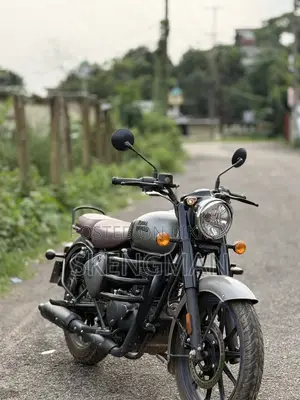 রয়্যাল এনফিল্ড ক্লাসিক ৩৫০ ২০২৫ গ্রে