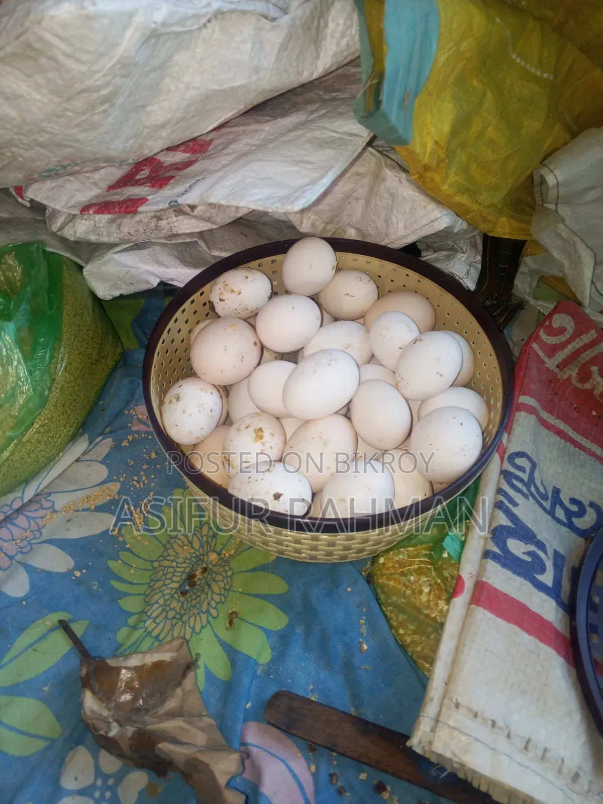 Fawmi Seed Eggs