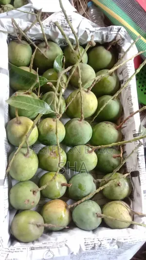 Formalin-free Mangoes
