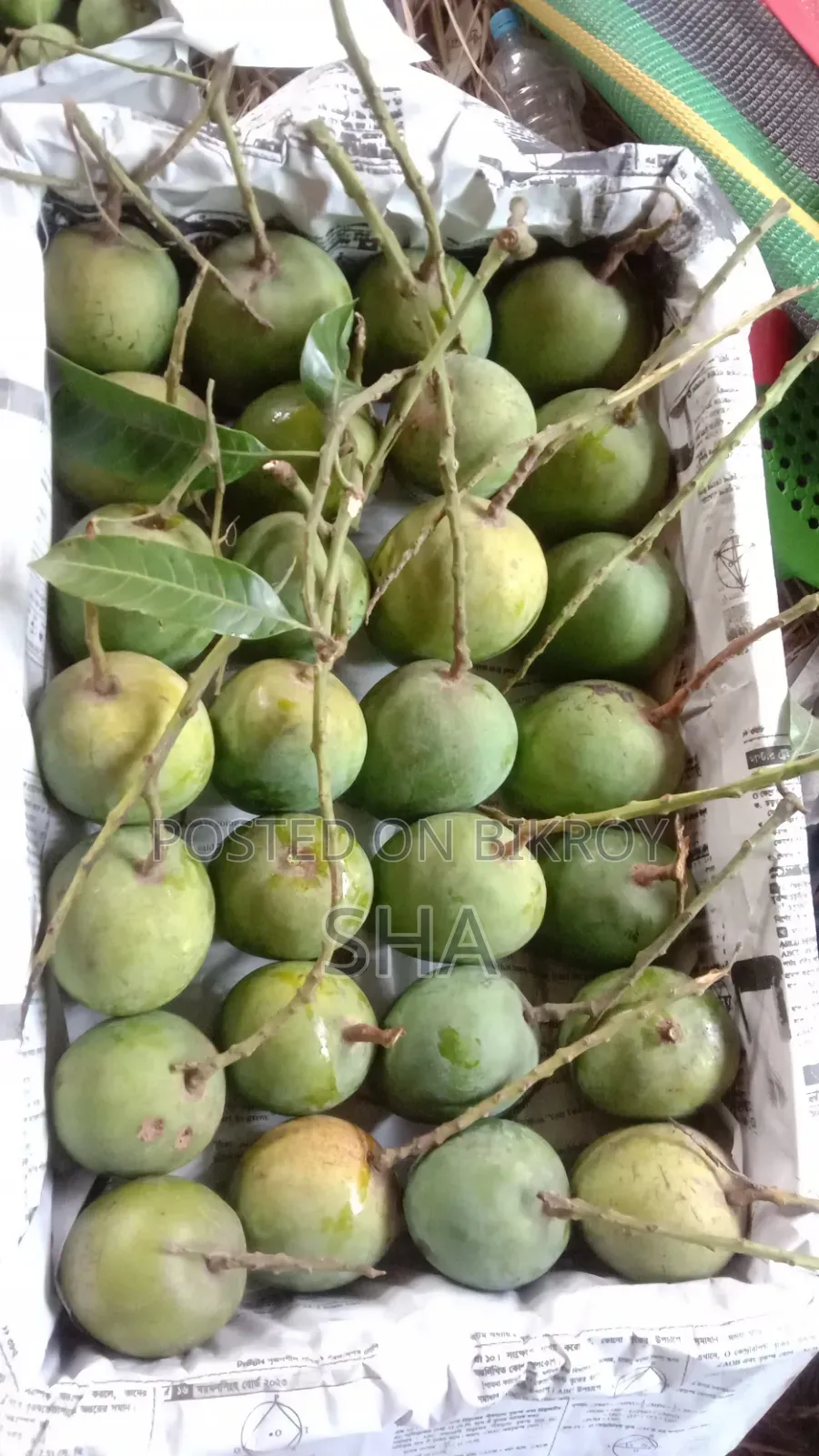 Formalin-free Mangoes