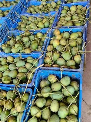 Formalin-free Mangoes