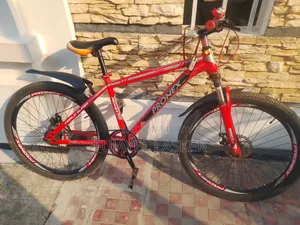 Bicycle for sale