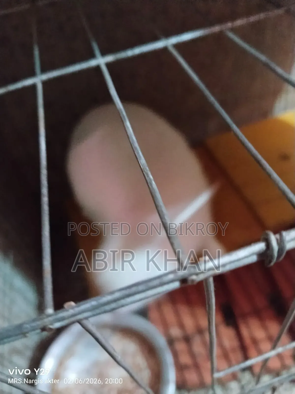 টাকার দরকার তাই বেচে ফেলবো