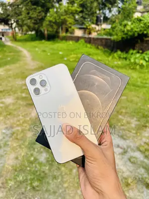 অ্যাপল আইফোন ১২ প্রো ম্যাক্স ১২৮ জিবি গোল্ড