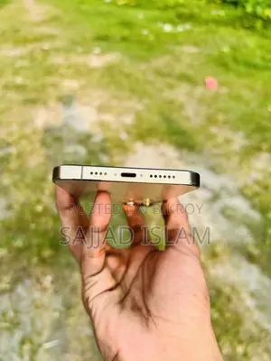 অ্যাপল আইফোন ১২ প্রো ম্যাক্স ১২৮ জিবি গোল্ড