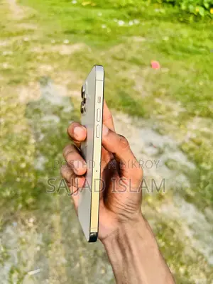 অ্যাপল আইফোন ১২ প্রো ম্যাক্স ১২৮ জিবি গোল্ড