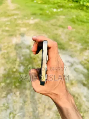 অ্যাপল আইফোন ১২ প্রো ম্যাক্স ১২৮ জিবি গোল্ড