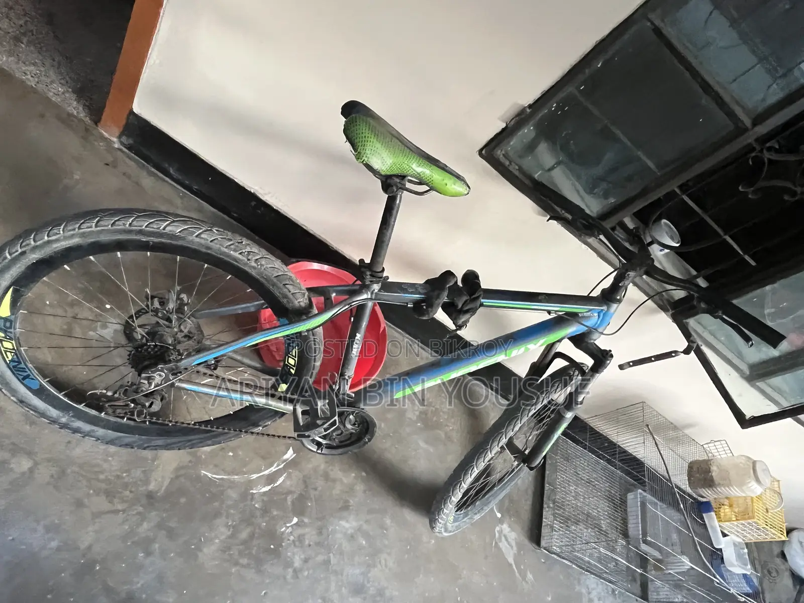 Phonex Cycle