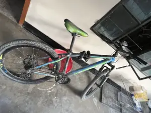 Phonex Cycle