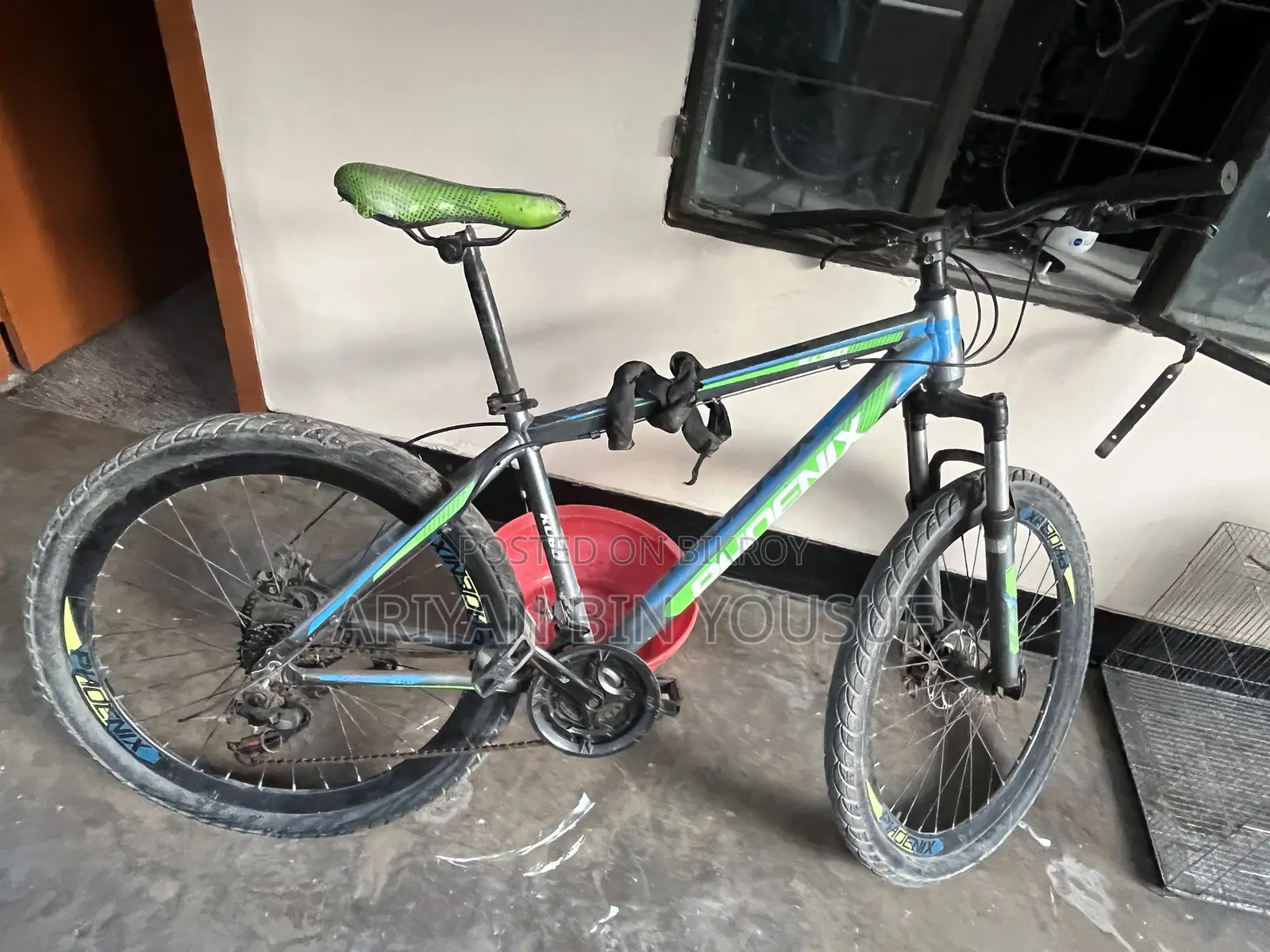 Phonex Cycle