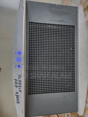 World Famous Blueair Dehumidifier.