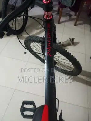 Micler Js Ninja - 1.0 Frame