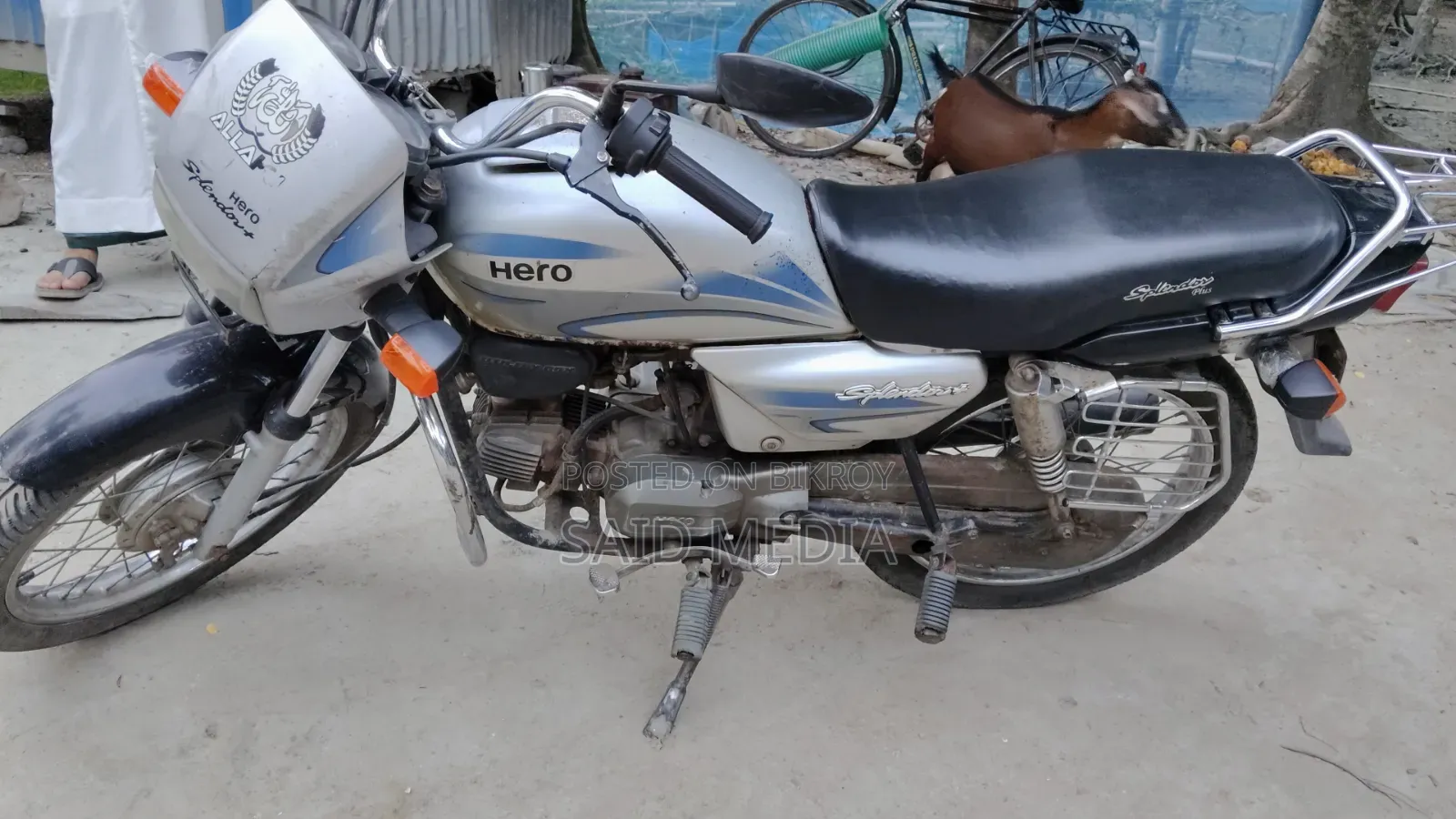 Hero Dawn 100 2016 White