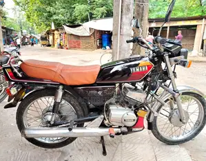 Yamaha 1992 Brown