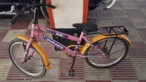 Duranta Bicycle