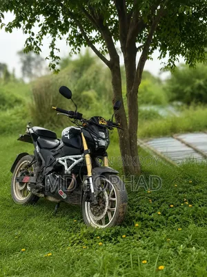 Runner Bolt 165R 2020 Black