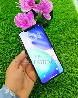 অ্যাপল আইফোন ১১ প্রো ম্যাক্স ২৫৬ জিবি ব্ল্যাক