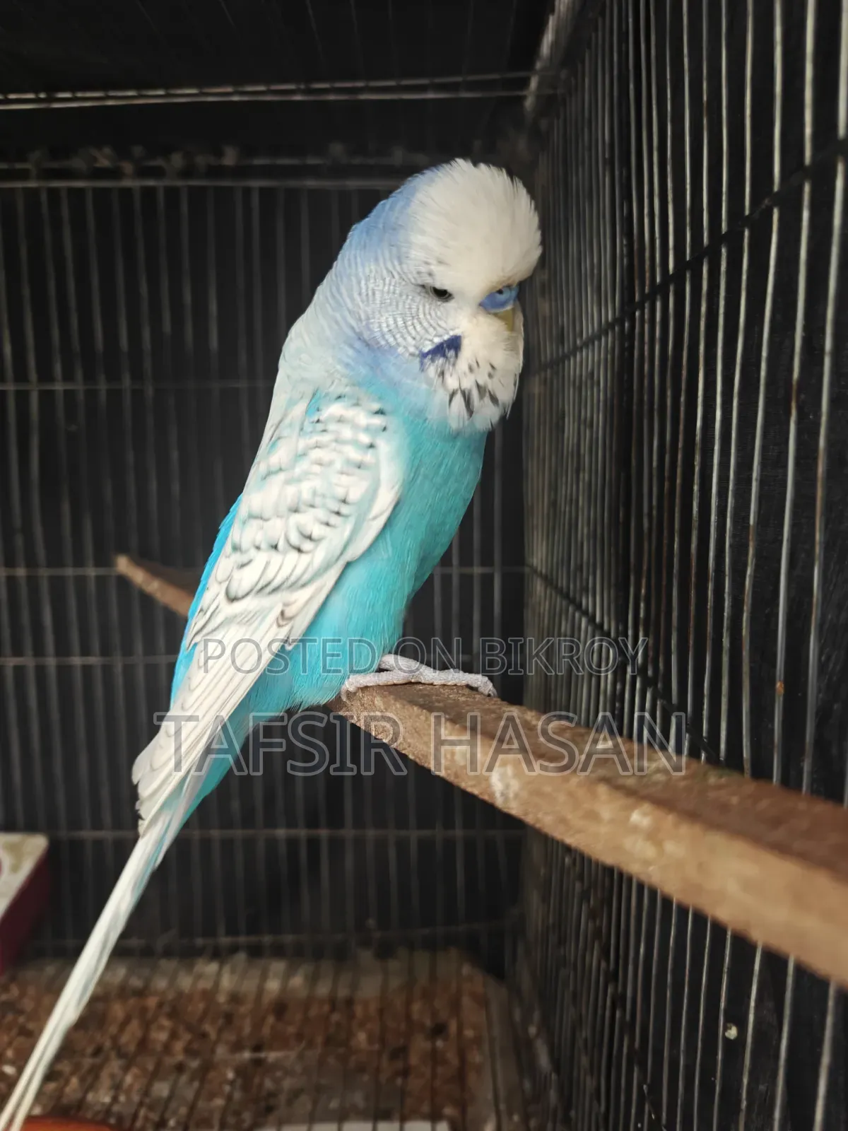 পুরুষদের রানিং জুতো