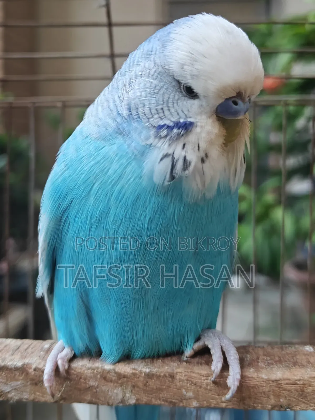 পুরুষদের রানিং জুতো