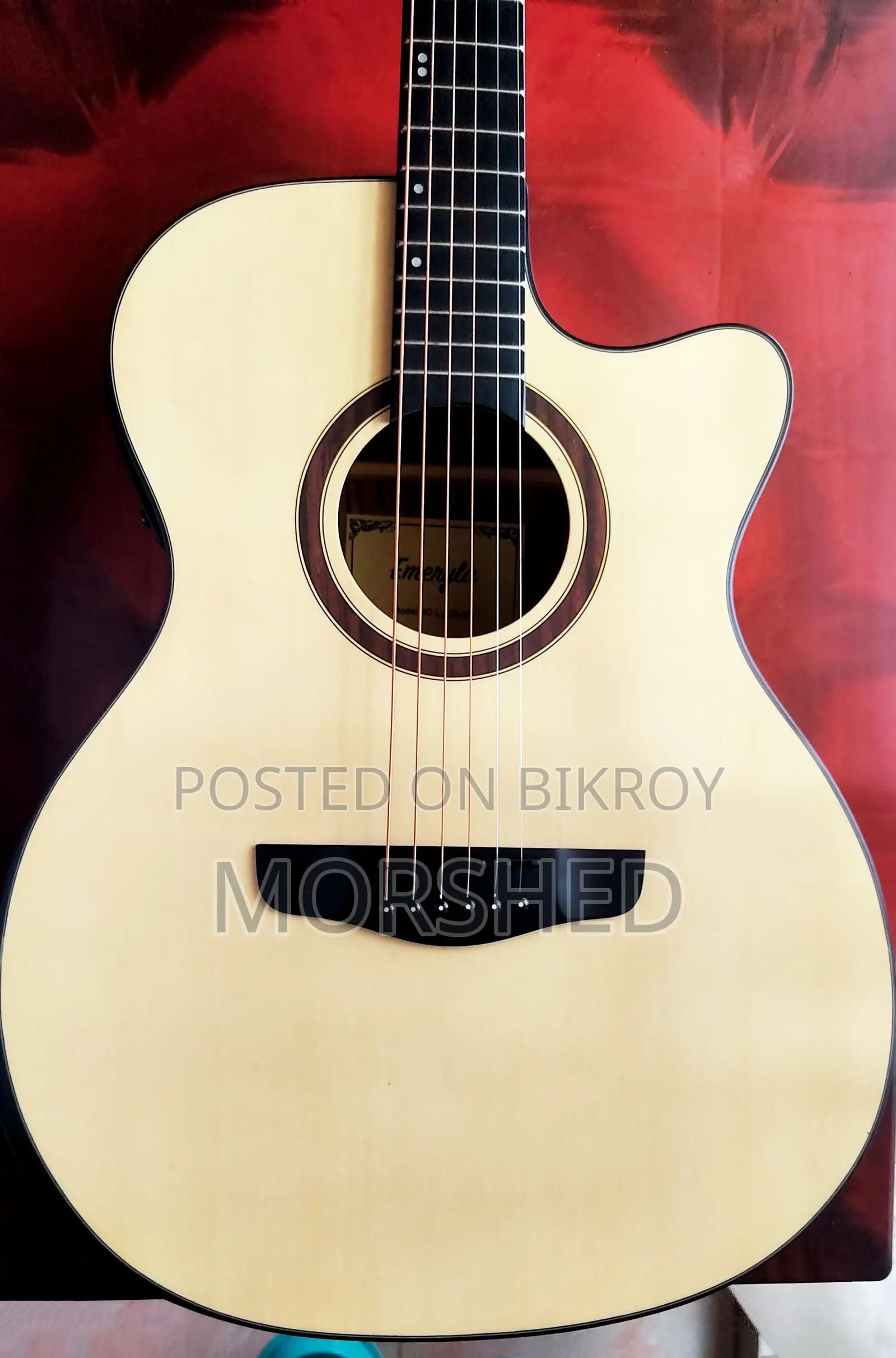 Emeryla L-570-40 Guitar With Equalizer, Tuner, Bag Accessories
