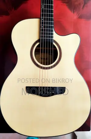 Emeryla L-570-40 Guitar With Equalizer, Tuner, Bag Accessories