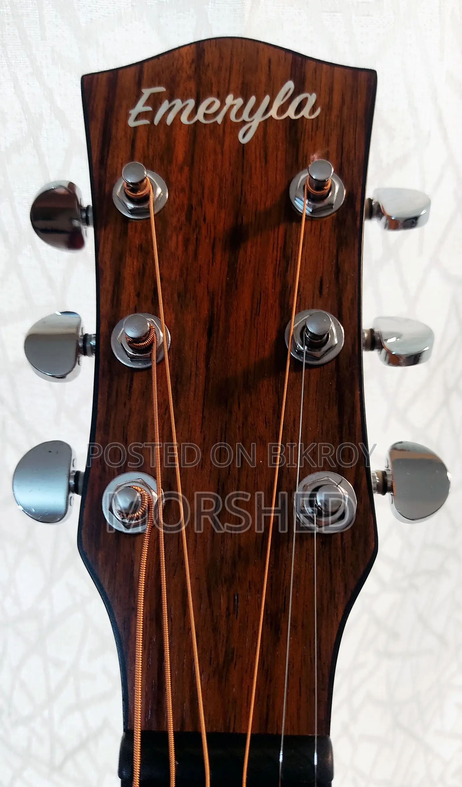 Emeryla L-570-40 Guitar With Equalizer, Tuner, Bag Accessories